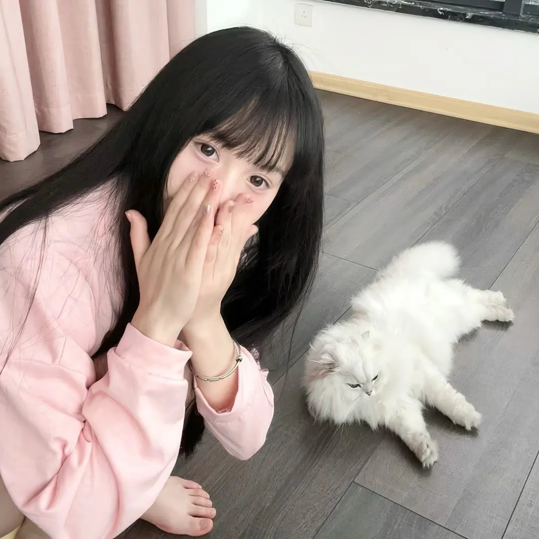 七合圣石战记